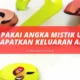 Cara Pakai Angka Mistik Untuk Mendapatkan Keluaran Akurat