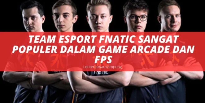 Team Esport Fnatic Sangat Populer Dalam Game Arcade Dan FPS