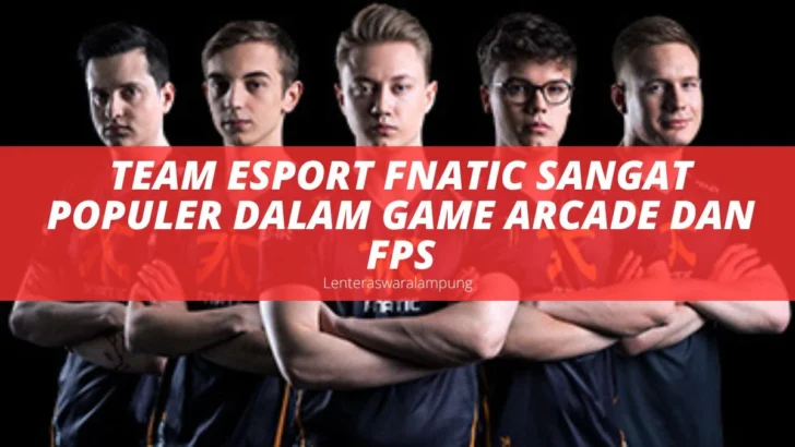 Team Esport Fnatic Sangat Populer Dalam Game Arcade Dan FPS